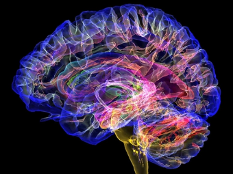 肏大黑泬大脑植入物有助于严重头部损伤恢复